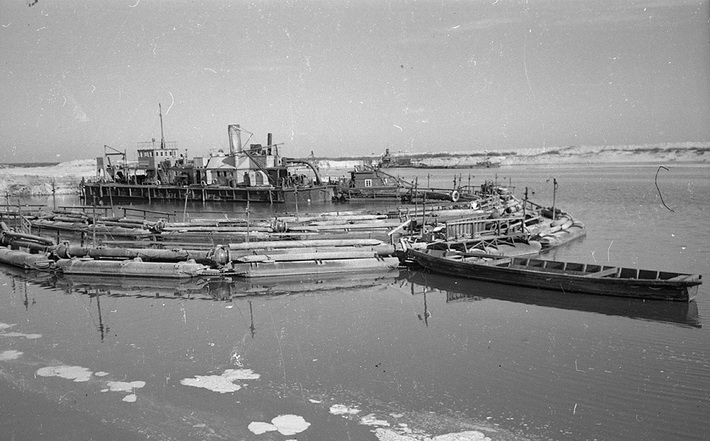 49400895_1456088141187987_9145031223490379776_n