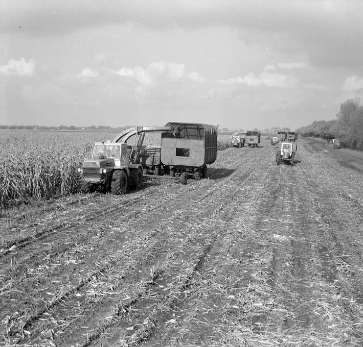 49414048_1456088574521277_5442934242298298368_n