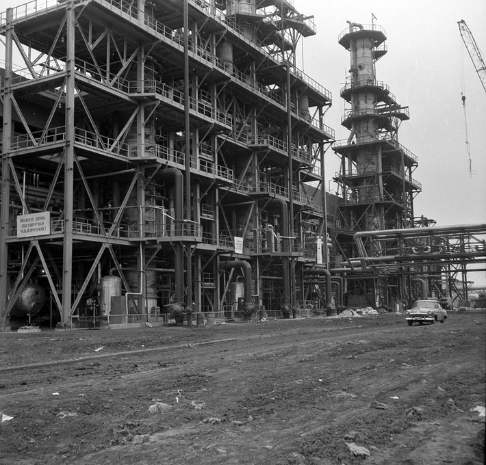 49495968_1456087801188021_4168538061694566400_n