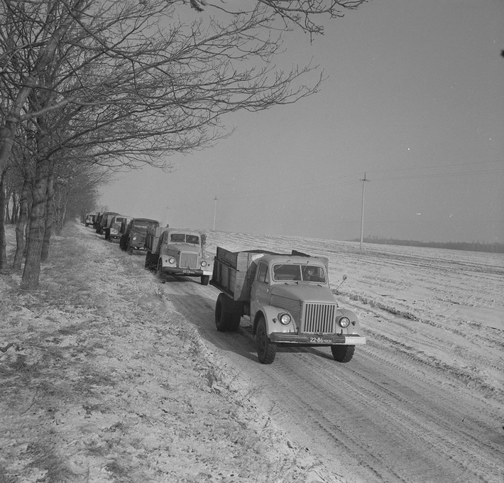 49668501_1456086254521509_5380302602531504128_n