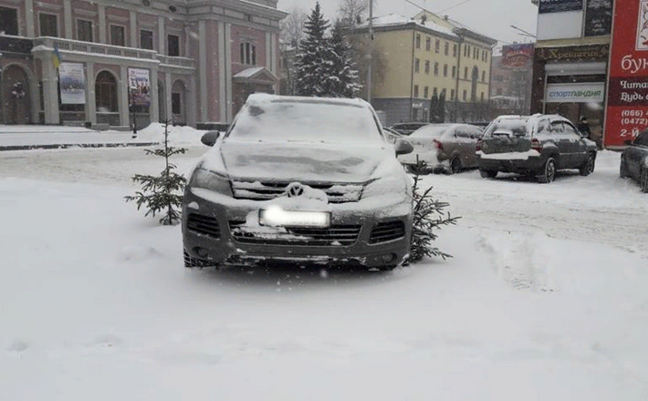 У Черкасах “олень” припаркувався на ялинці (фотофакт)