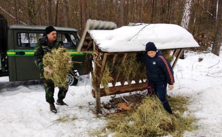Корсунь-шевченківські лісівники підгодовують диких звірів