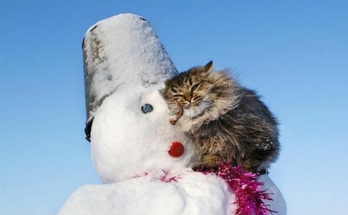 Від 23 морозу до 2 тепла – прогнози черкаських синоптиків обіцяють мінливу погоду