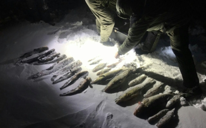 У Липівському заказнику попередили чотири випадки браконьєрства