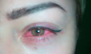 51251584_302128470655464_1663109601567965184_n