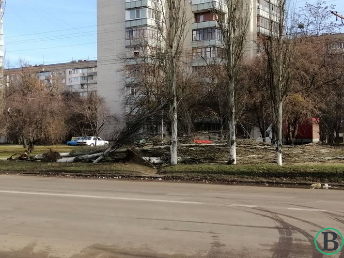 Повалені тополі: внаслідок негоди найбільше постраждав Південно-Західний район (ФОТО)