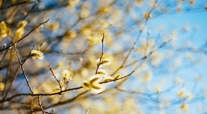 Якої погоди черкащанам варто чекати сьогодні