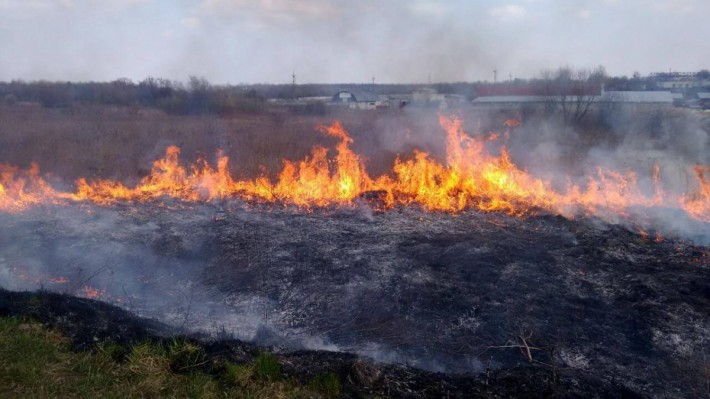 На Черкащині родина ледь не залишилася без домівки (ФОТО)