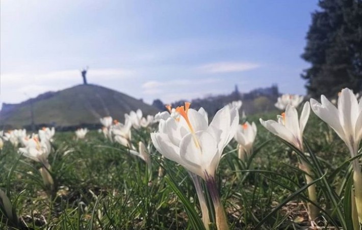 Весна в регіоні: Черкащина вражає буянням квітів (ФОТО)