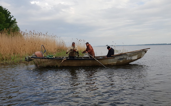 На Черкащині задля науки виловлювали рибу (ВІДЕО)