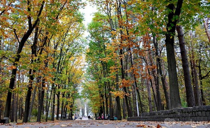 На Черкащині очікується похолодання