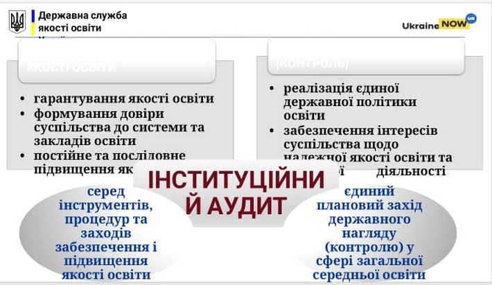 інституційний аудит
