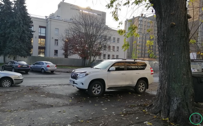 Про “оленів”… і не тільки! Коли Черкаси стануть містом, комфортним для життя (ФОТО)