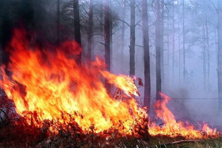 Жителів Черкащини попереджають про надзвичайну пожежну небезпеку