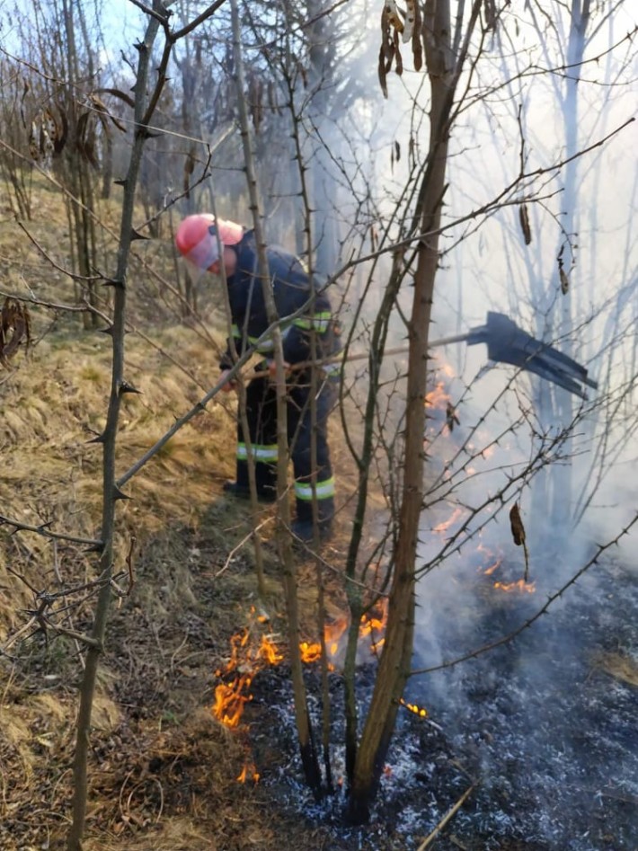 Рятувальники Черкащини ліквідували шість пожеж сухої рослинності впродовж минулої доби