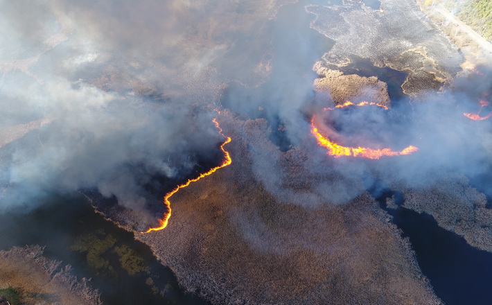 На Золотоніщині масово горить очерет, є загроза загорання лісів (ФОТО, ВІДЕО)
