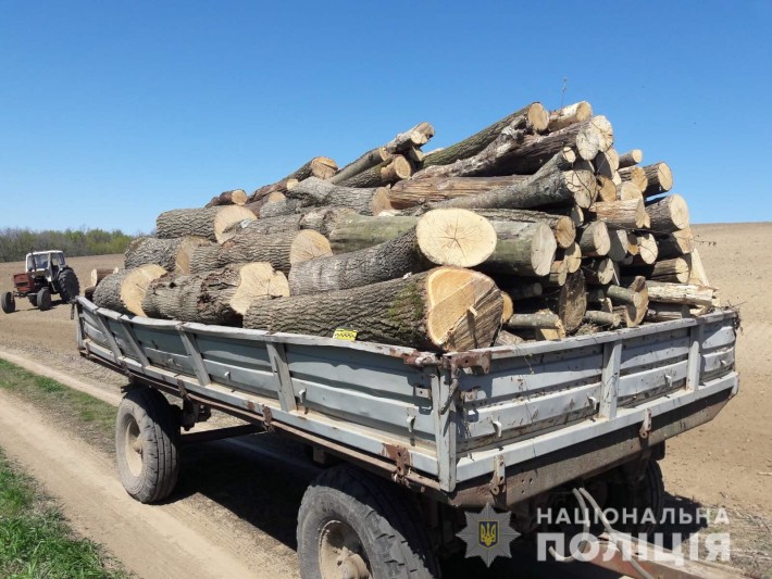 На Черкащині затримали чоловіків, які незаконно вирубували дерева