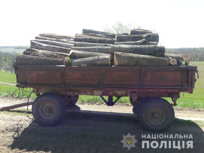 На Черкащині затримали чоловіків, які незаконно вирубували дерева