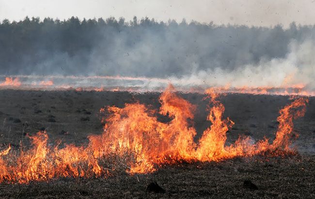 Рятувальники Черкащини ліквідували дві пожежі сухої трави та сміття