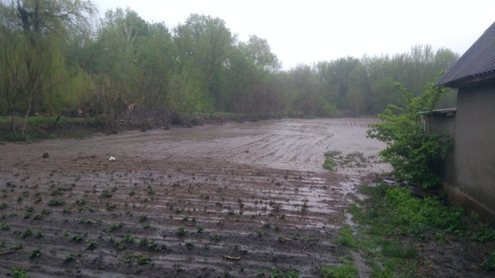 На Черкащині селянам змило городи під час негоди (ВІДЕО)