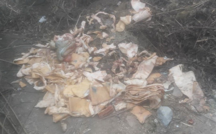 На смітник одного з сіл області викинули купи свинячої шкіри, сала та нутрощів (ФОТО)