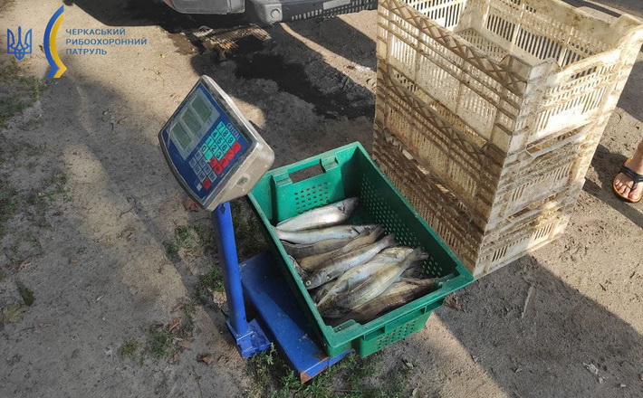 На Кременчуцькому водосховищі браконьєр наловив риби майже на 70 тис. грн