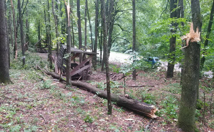 В області негода пошкодила десятки гектарів лісу