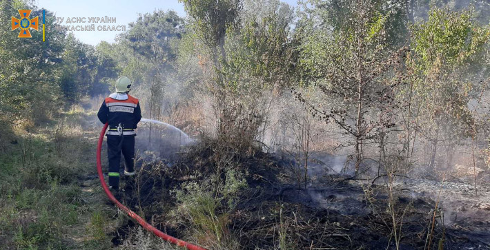 Рятувальники ліквідували шість пожеж на відкритих територіях (ВІДЕО)