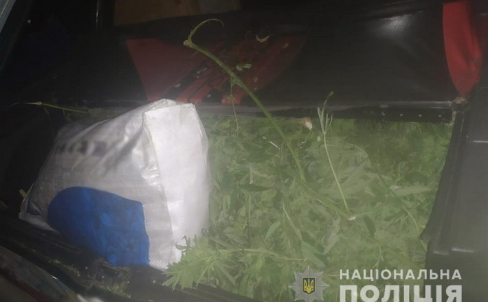 Плантацію конопель на суму близько 2 мільйонів гривень виявили на Черкащині