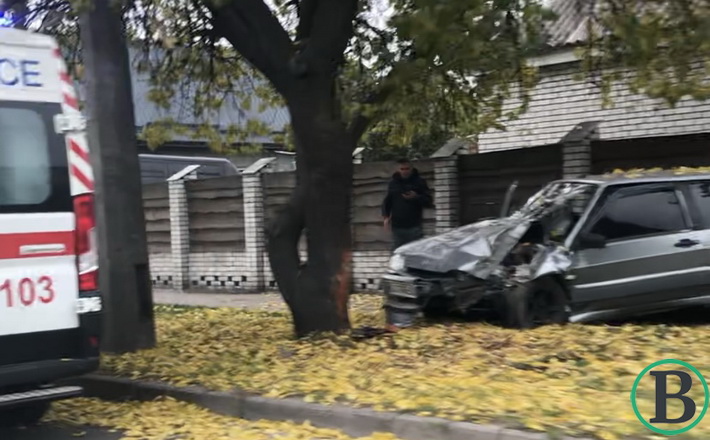 Не впоралася з керуванням: у Черкасах авто врізалося в дерево (ВІДЕО, ФОТО)