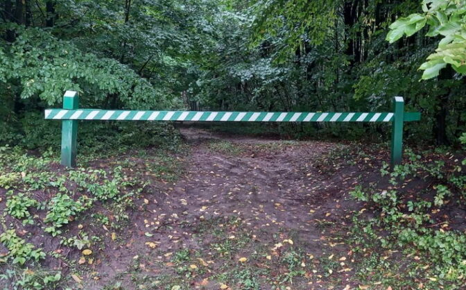 Для черкащан змінили правила відвідування лісів