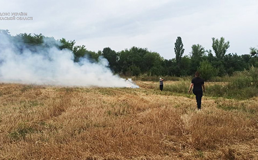 На Черкащині виявили палія сухої трави