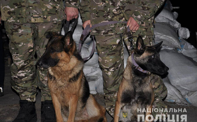 У Черкасах під час комендантської години виявили до пів сотні порушників