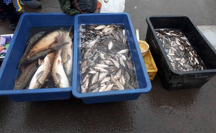 На ринках Черкащини продовжують виявляти незаконний продаж риби
