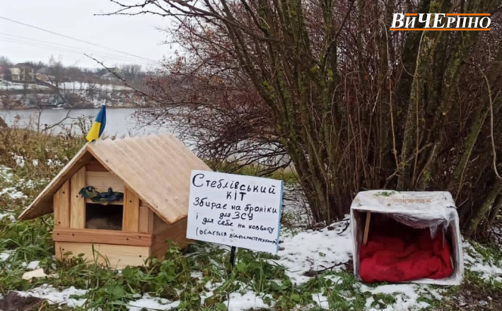 На Черкащині стеблівський кіт збирає на броніки для ЗСУ і для себе на ковбасу