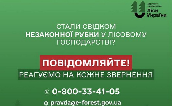 Про незаконну рубку дерев можна повідомити на гарячу лінію