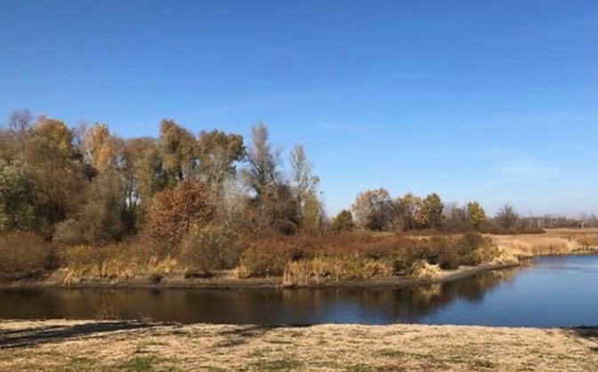 Суд задовольнив позов щодо скасування передачі ділянки для забудови на березі Дніпра