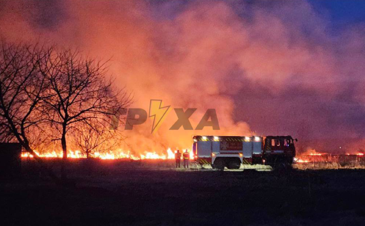 Під Черкасами сталася масштабна пожежа сухостою