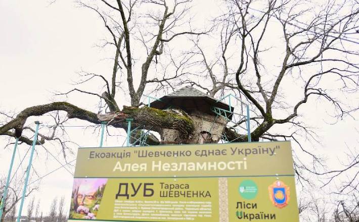 «Шевченко єднає Україну»: на Черкащині заклали Алею Незламності