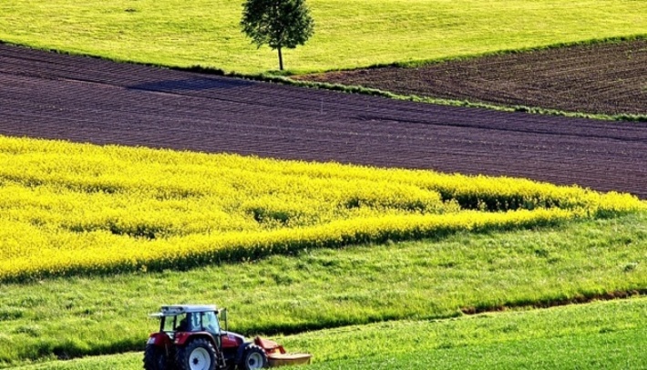 На Смілянщині земельна ділянка вартістю майже 400 млн гривень повернулася у власність громади