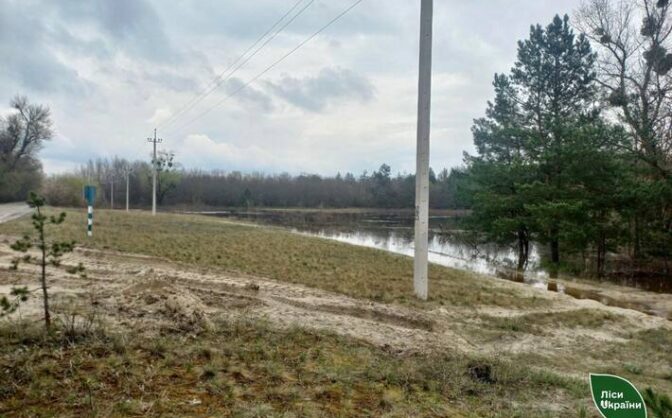 На Черкащині затопило понад дві тисячі гектарів лісу