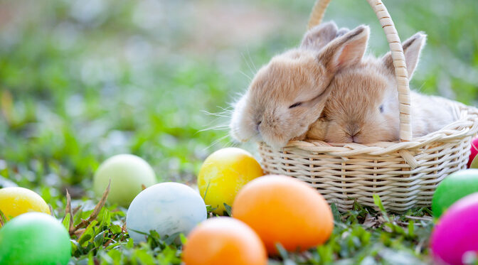 Cute little bunny sleeping in the basket and easter eggs in the meadow