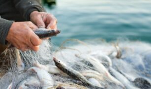 На Черкащині за незаконне рибальство порушники сплатять понад 200 тисяч гривень штрафу