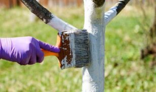 У Черкасах триває тиждень благоустрою