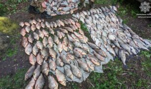 Збиток на суму понад 300 тисяч гривень: черкаські правоохоронці виявили незаконний вилов риби