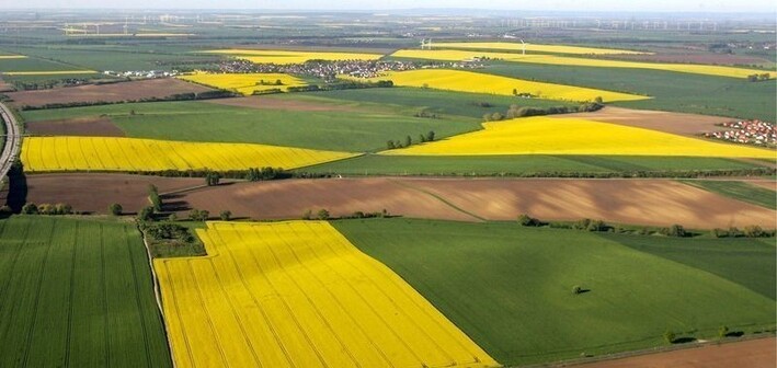 На Черкащині до державної власності повернули понад сто гектарів землі