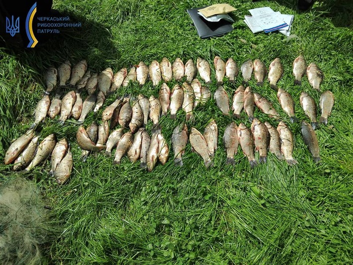 На Черкащині браконьєри завдали шкоди природі на понад 150 тисяч гривень