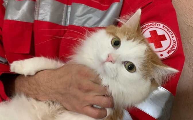 Черкаська обласна організація Товариства Червоного Хреста України відкриває новий напрям допомоги