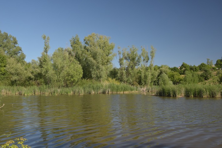 На Христинівщині до державної власності повернуть водний став
