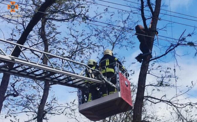 На Черкащині врятували чоловіка, якому на висоті стало зле